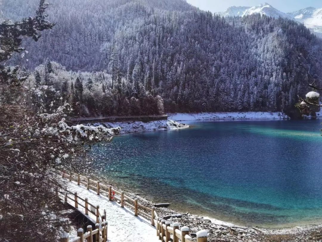 阿坝旅游5年免门票,五一阿坝州旅游