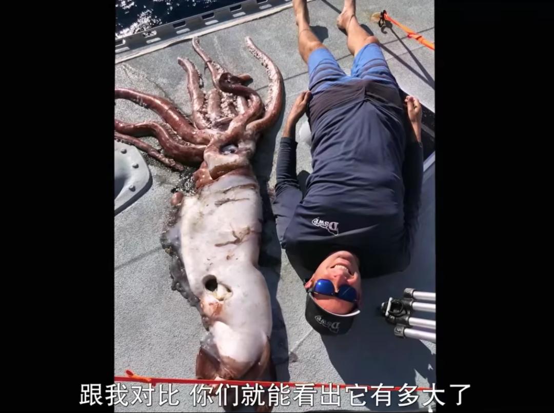 豆瓣排名第五摄人心魄的好片,豆瓣8.6分今年看过最良心的电影