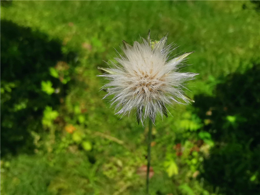 吉祥航空和南航的区别,吉祥航空和吉祥汽车