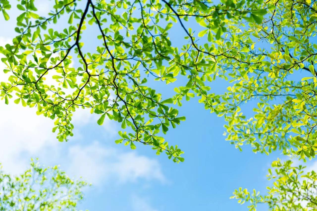 医院“惊魂”、新冠感染两天就好了