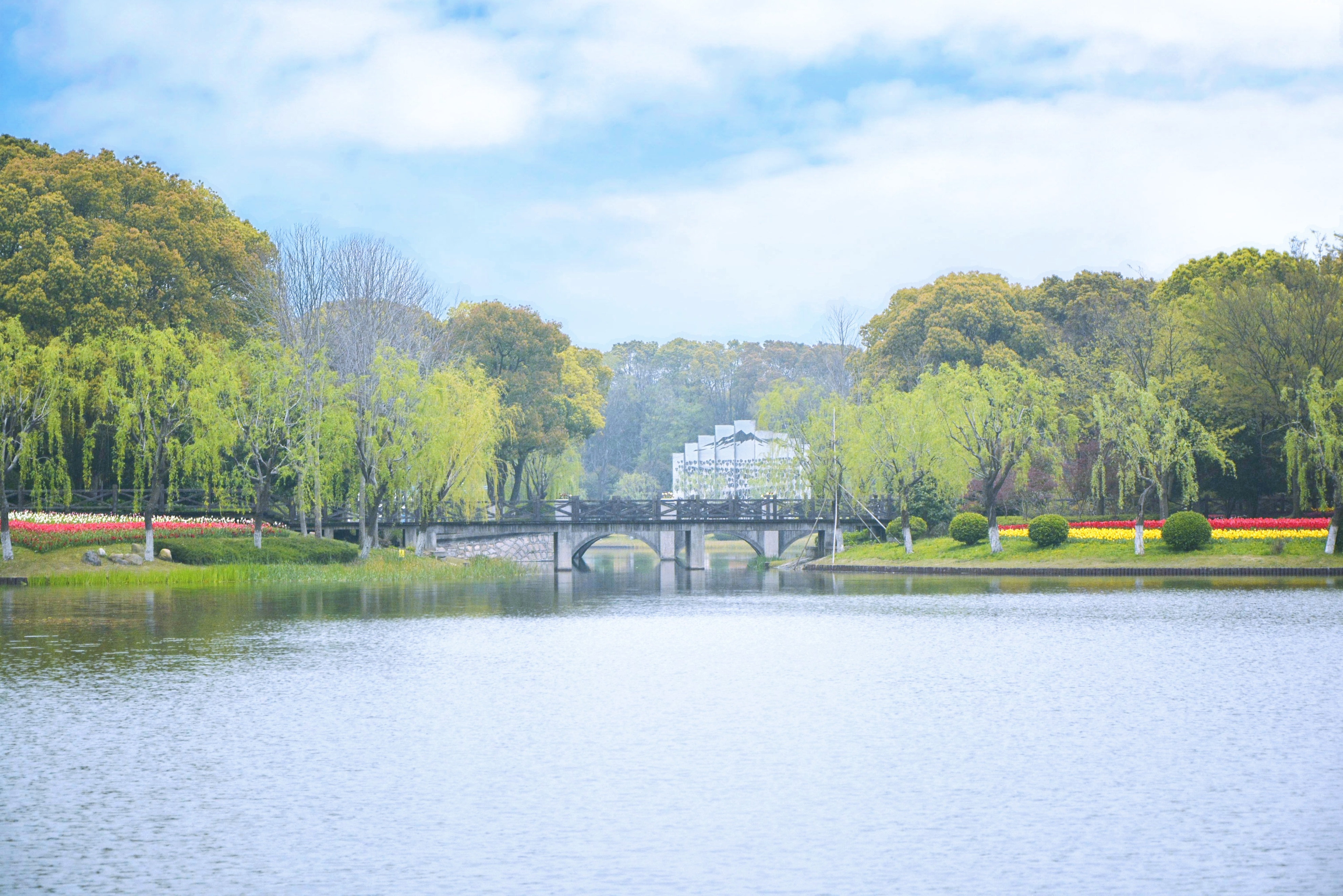 鲜花港郁金香花海,国际鲜花港花海
