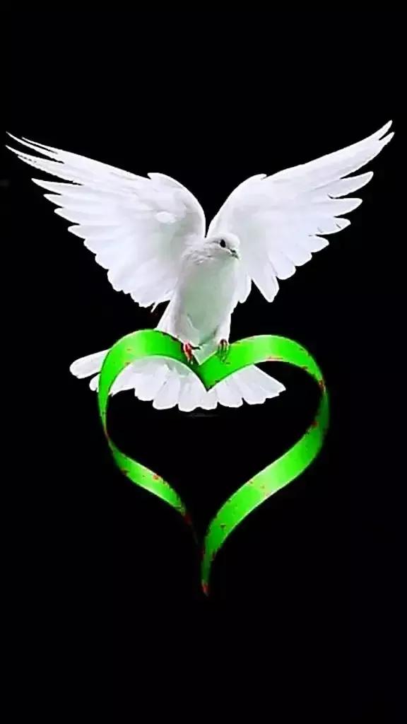 手拿心形图片,心形图片大全