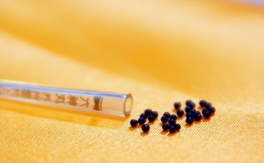 日本的六神丸成分,六神丸成分有哪些