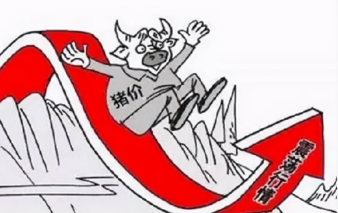 5月5号猪价还能上涨吗,5月28日猪价行情分析师讲解