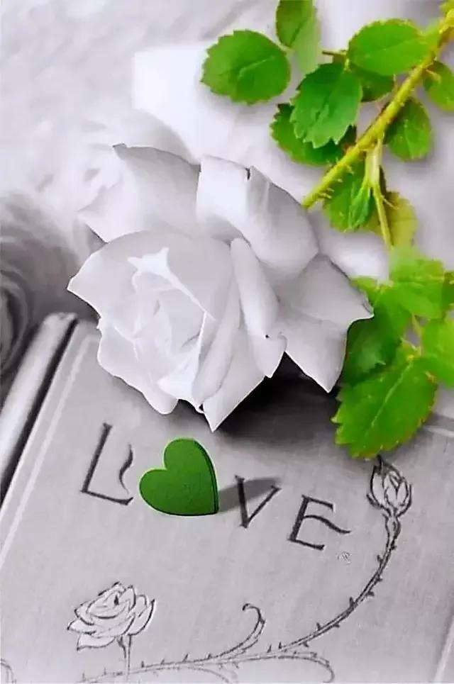 箭穿心形图片,漂亮心形头像图片