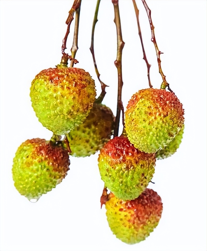 2023年6月“科学”流言榜：热射病就是中暑？车内暴晒的矿泉水会致癌？