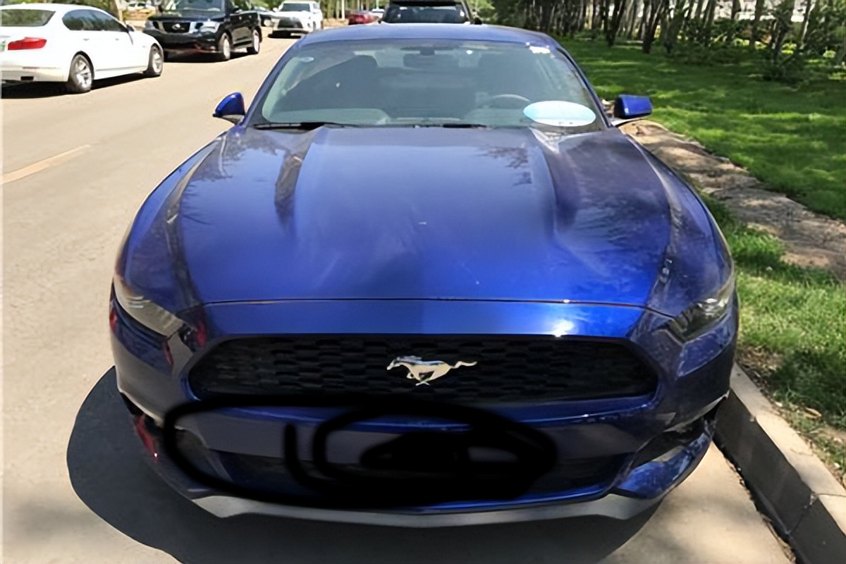 芜湖汽车托运平台,芜湖车辆托运服务正规公司