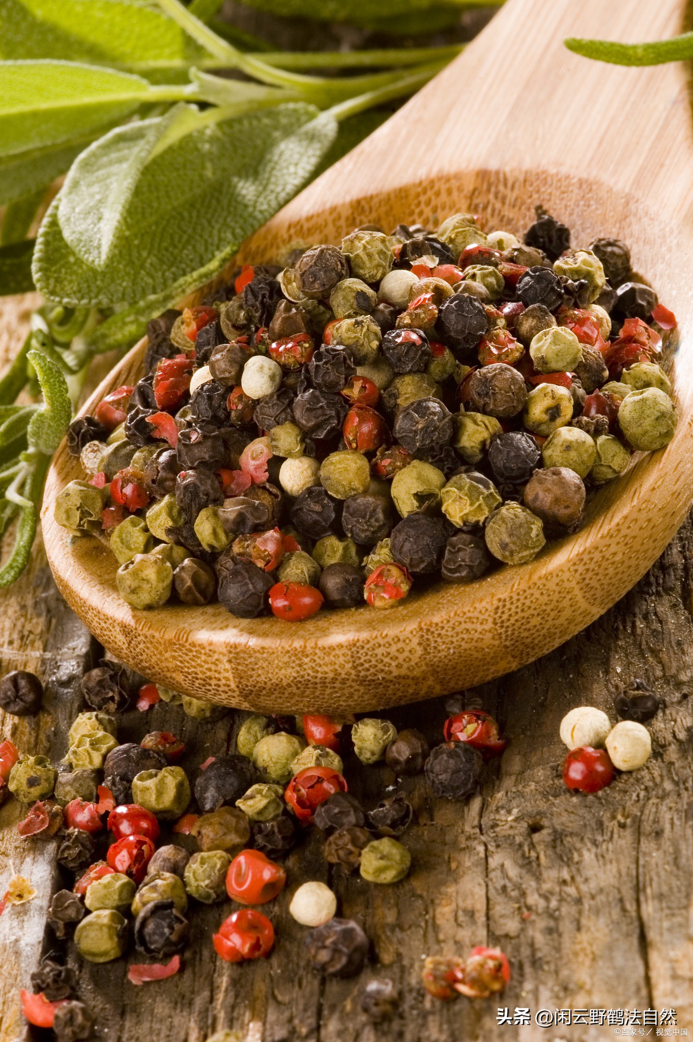 胡椒做菜用处,胡椒炒菜的用途