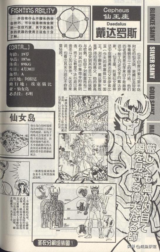 白银圣斗士比黄金圣斗士强,圣斗士星矢所有圣斗士战力排行榜