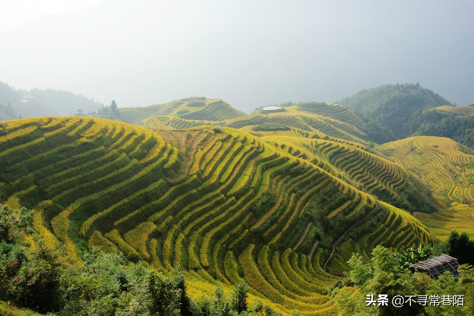 这里有许多历史悠久的古镇,从历史中走来的古镇