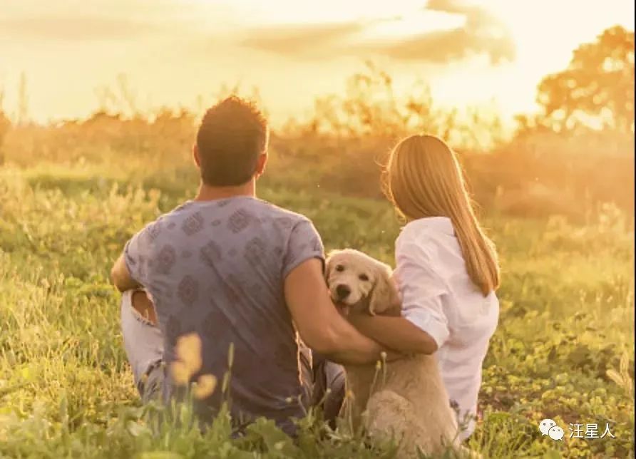 狗狗被撞受伤白发老人跪地痛哭,不小心摔倒了狗狗委屈