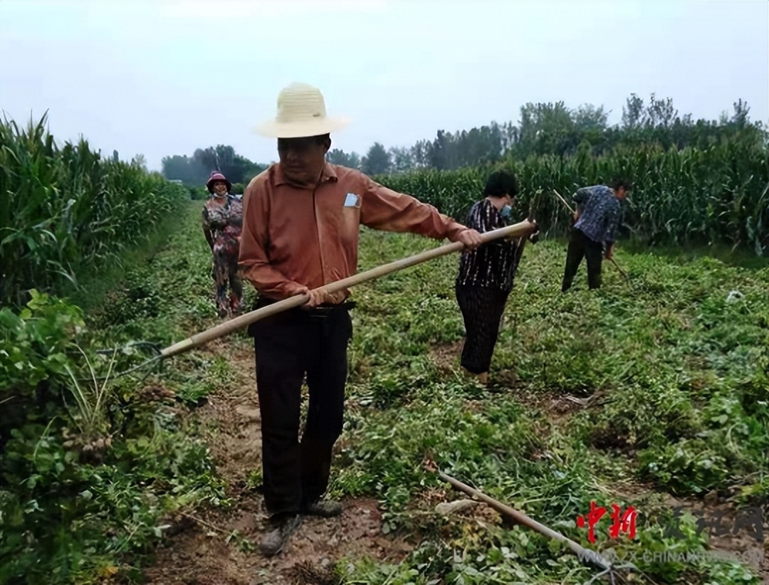 暖心温情的一幕,温情一幕精彩片段