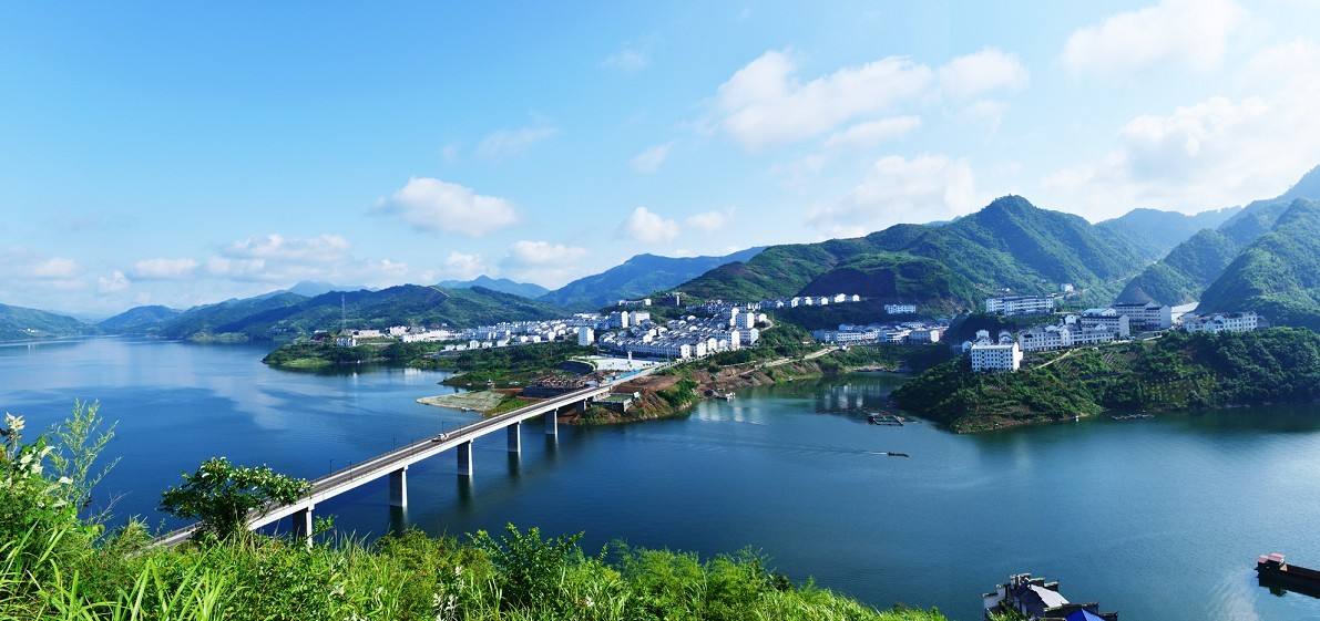 足球评论员贺炜,足球主持人贺炜