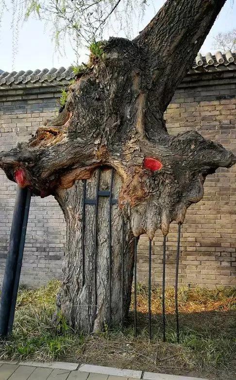 二十一点三四是什么意思,二十一点