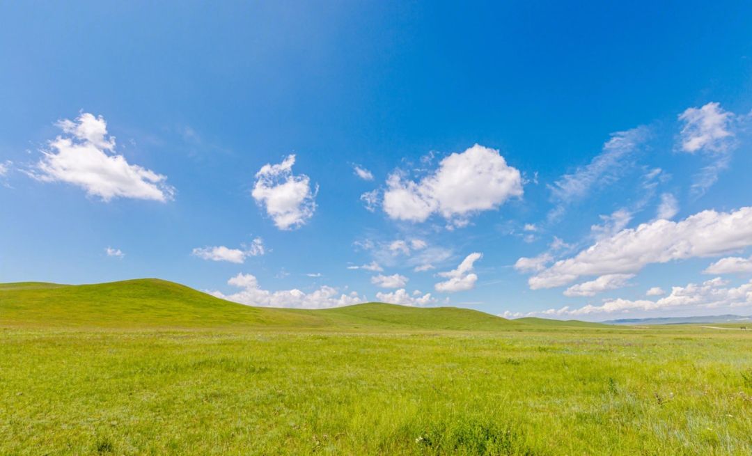 俄印军事订单,俄印军售谈判