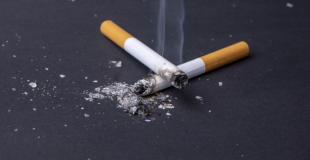 香烟与酒凯子与狗,香烟与美人