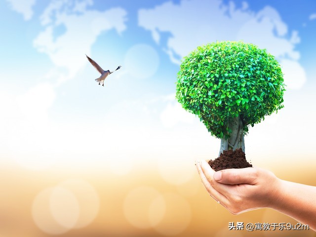 儿童成长教育与社区教育,城市的未来儿童教育模式