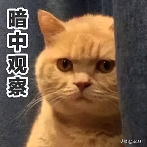 警方提醒注意的诈骗手段,公安提醒警惕4种涉网骗局