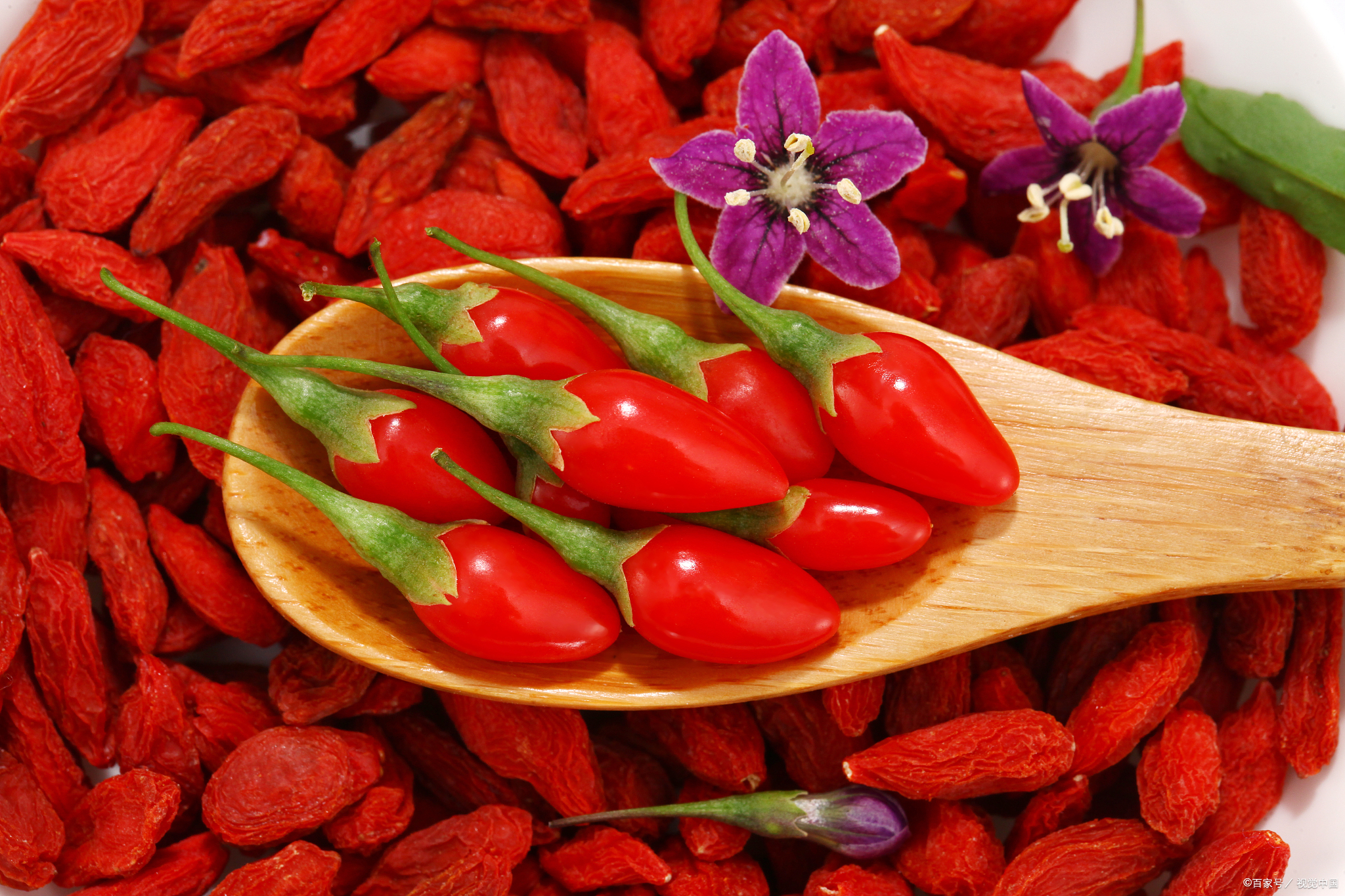 农村种植什么药材收益比较高,种植什么药材时间短收益快