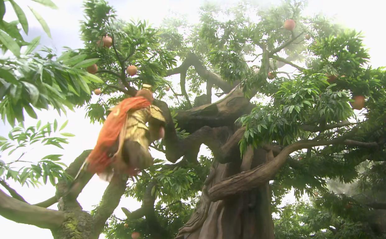 王母蟠桃和人参果哪个更好,西王母蟠桃是什么