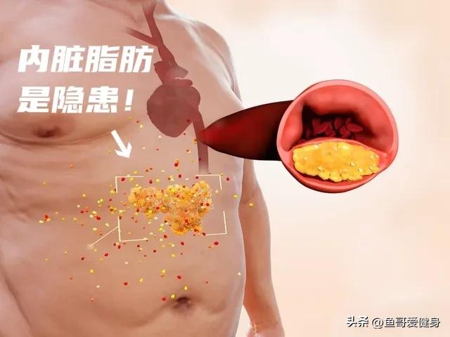 减肚子最快的方法男完整版视频,减肚子最快的方法男15天见效