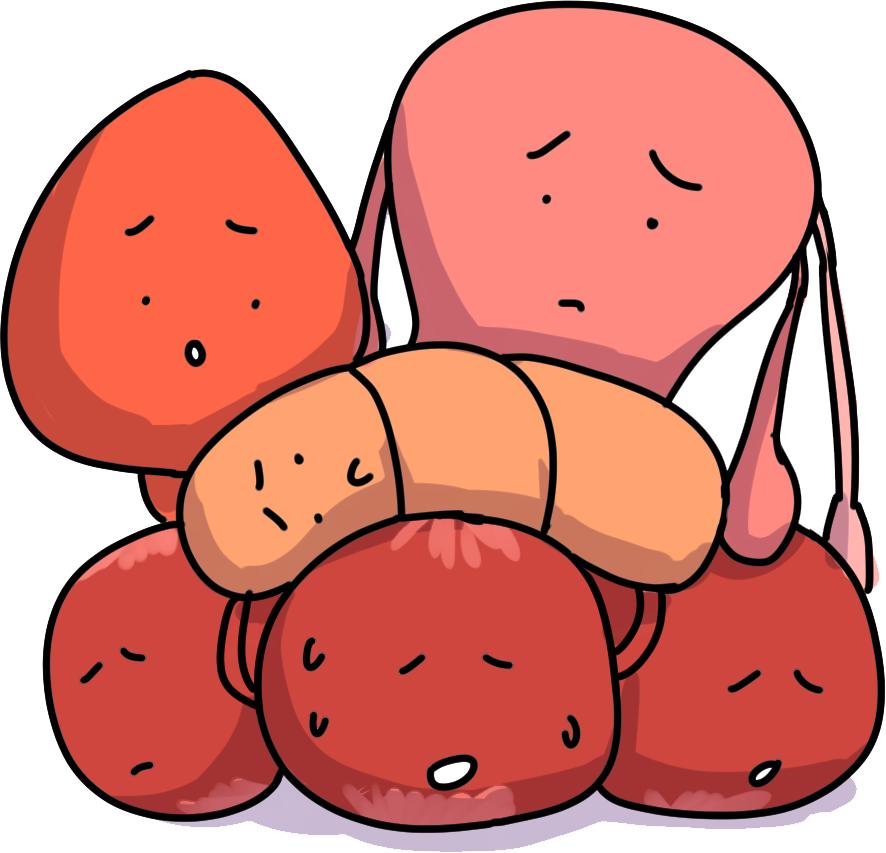 盆腔器官脱垂最新消息,盆腔脏器脱垂表现动画