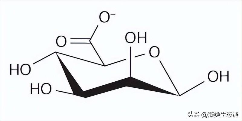 从池塘浮渣到产品:藻类化学