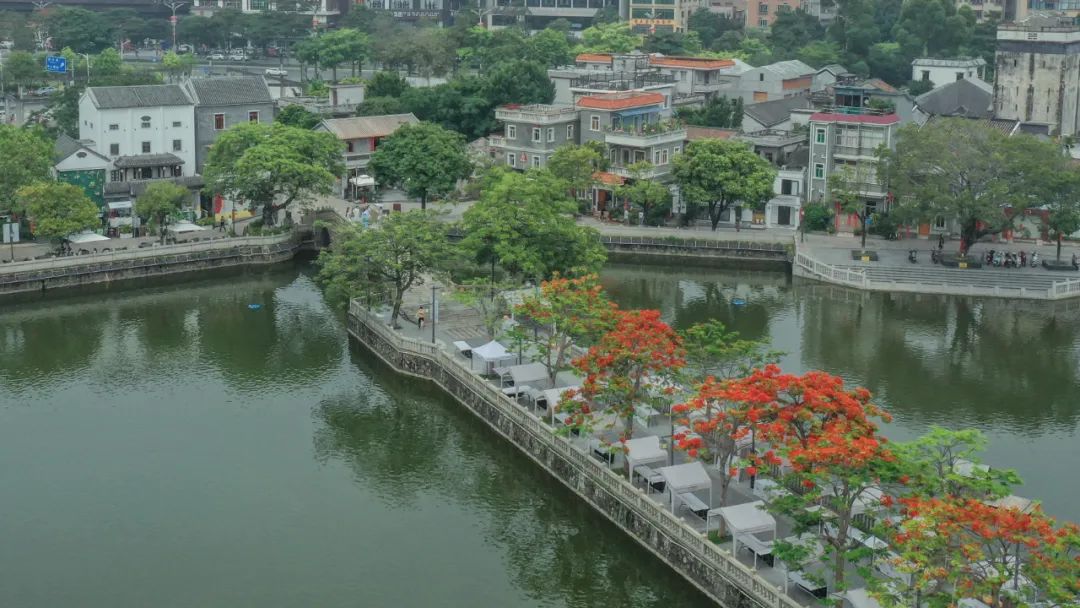 趣宝安旅游攻略,深圳宝安吃玩旅游攻略