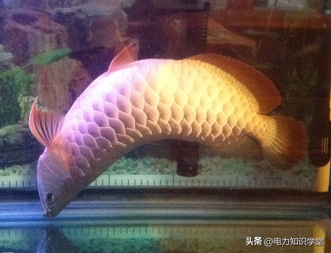 物业私自给业主断电造成损失,物业私自断电怎么办