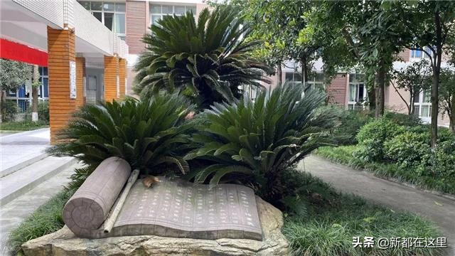 新都东湖中学怎么样,新都东湖中学今年招生简章