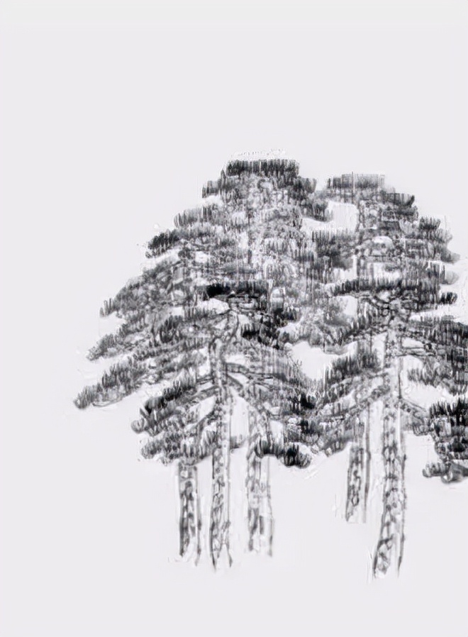 松树复杂画法,松树的十种画法