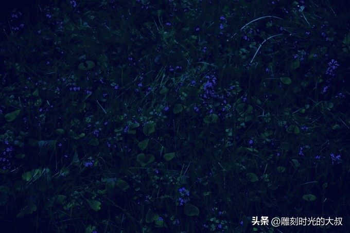 ai摄影师获奖,ai和摄影结合的摄影师