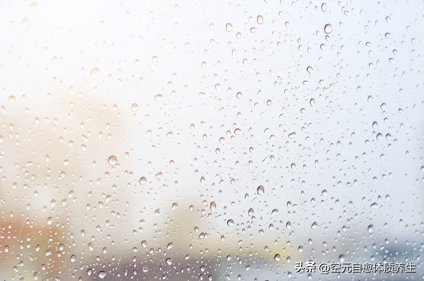 阳性体质怎么调理最好,湿气体质