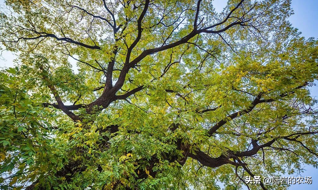 盘点市面五种常见蜂巢