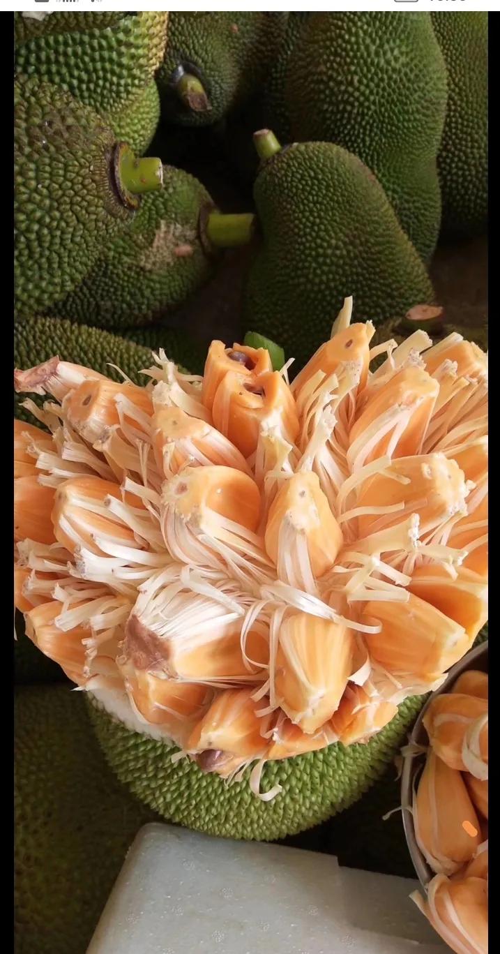 去年花一年时间尝试的五个小生意之一：卖菠萝蜜