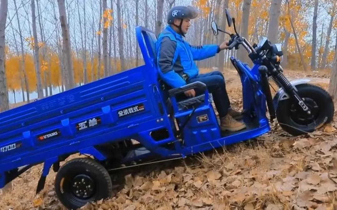 最新版全封闭五羊电动三轮车,五羊电动三轮车价格表大全