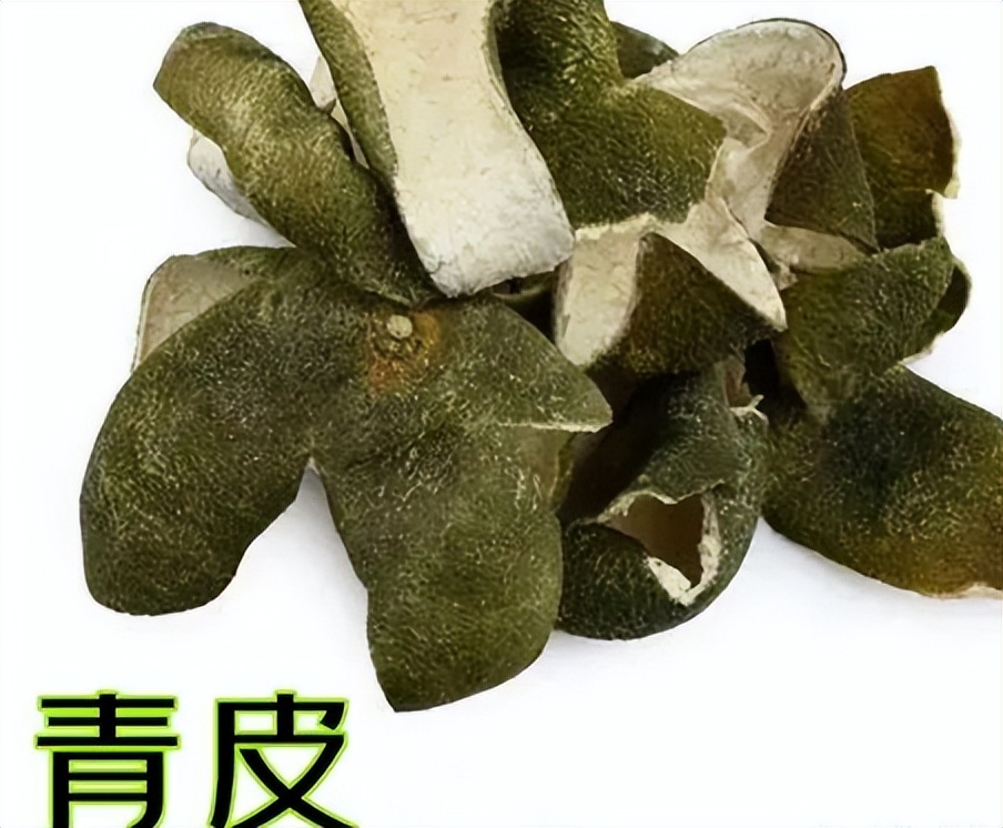 中药青皮,每日一味中药陈皮