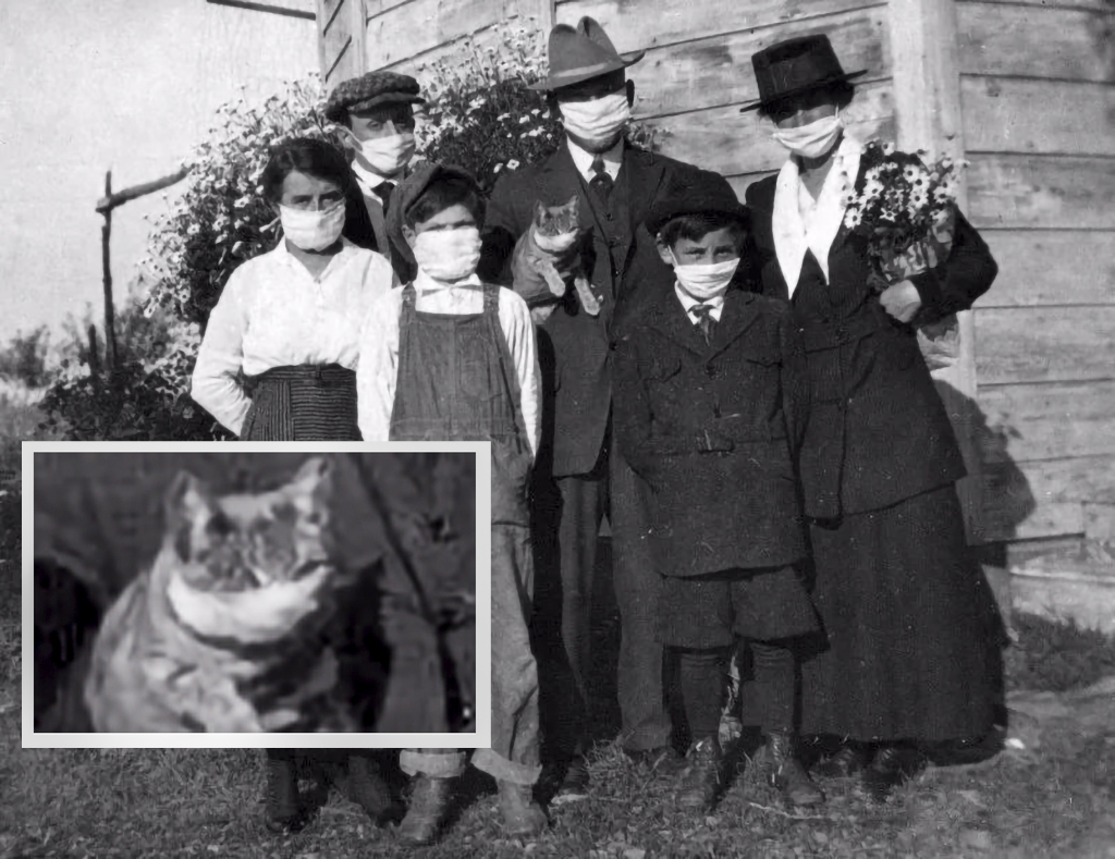 走出历史周期律靠的是什么,走出历史课本