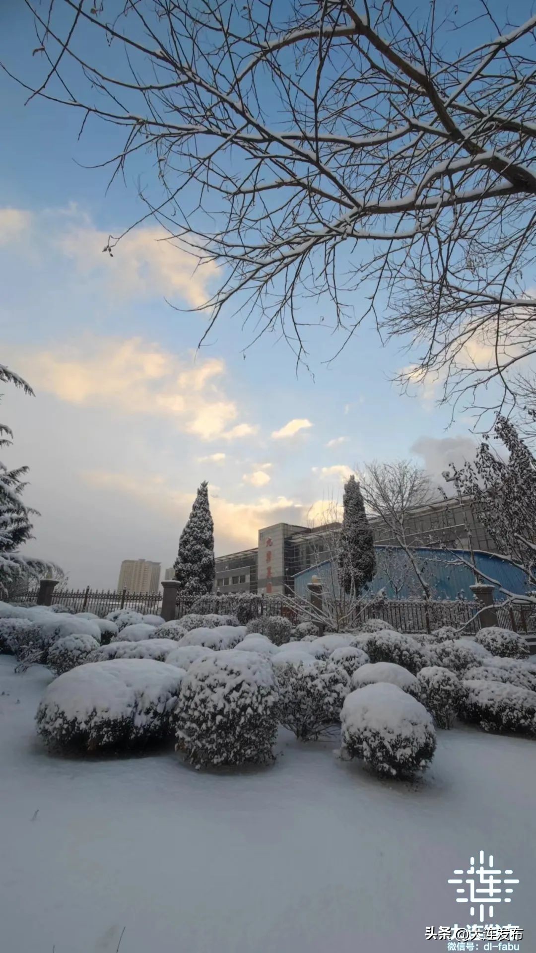 2021年大连最低气温,大连气象预报最新消息