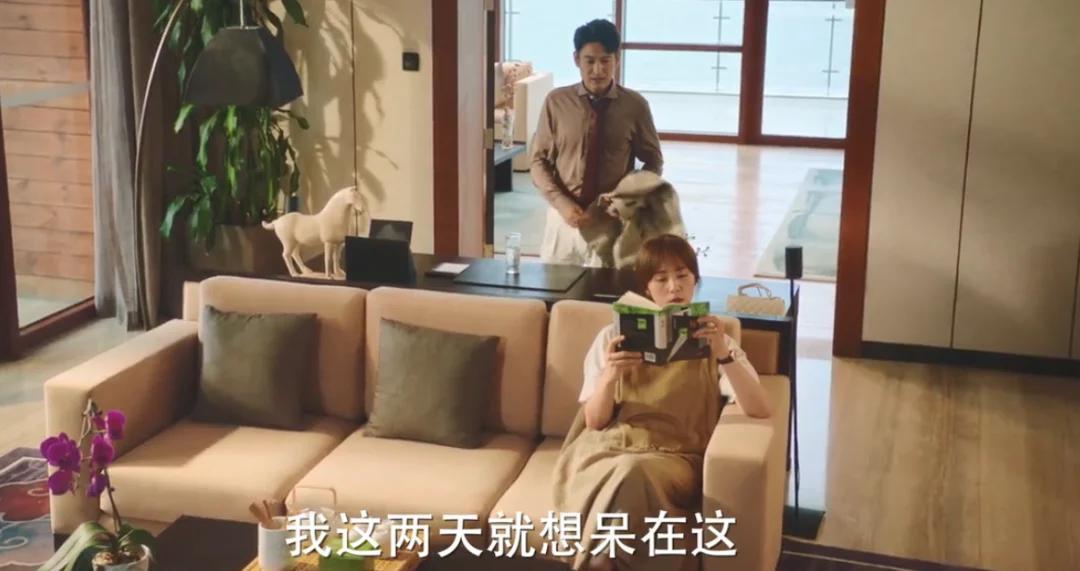 黄磊谈老婆新剧,斗智斗勇抓小三的电视剧