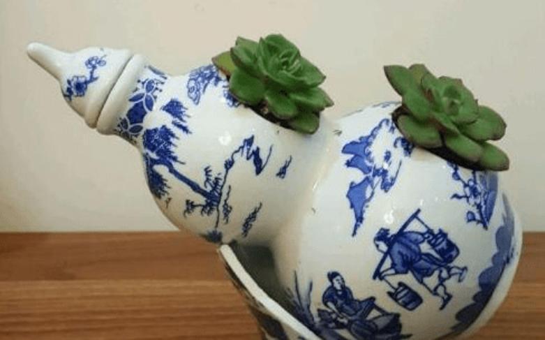 70岁大爷捡破酒瓶种花,70大爷捡酒瓶种花