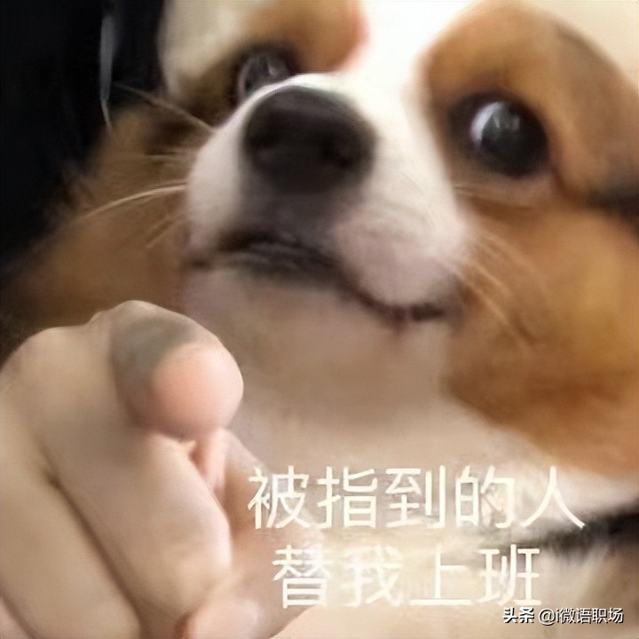 35岁左右职场人副业,没工作怎么找到职场中的兼职