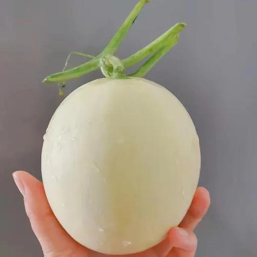 甜瓜滞销瓜农含泪卖瓜,甜瓜卖不动的原因