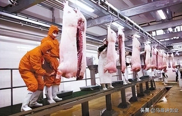 农村养殖种植与三农创业致富项目,农村怎么创业致富的好项目