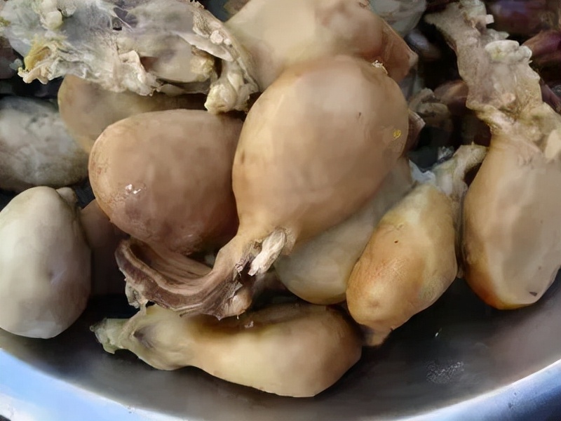 吃了猪尿泡,万事皆simple