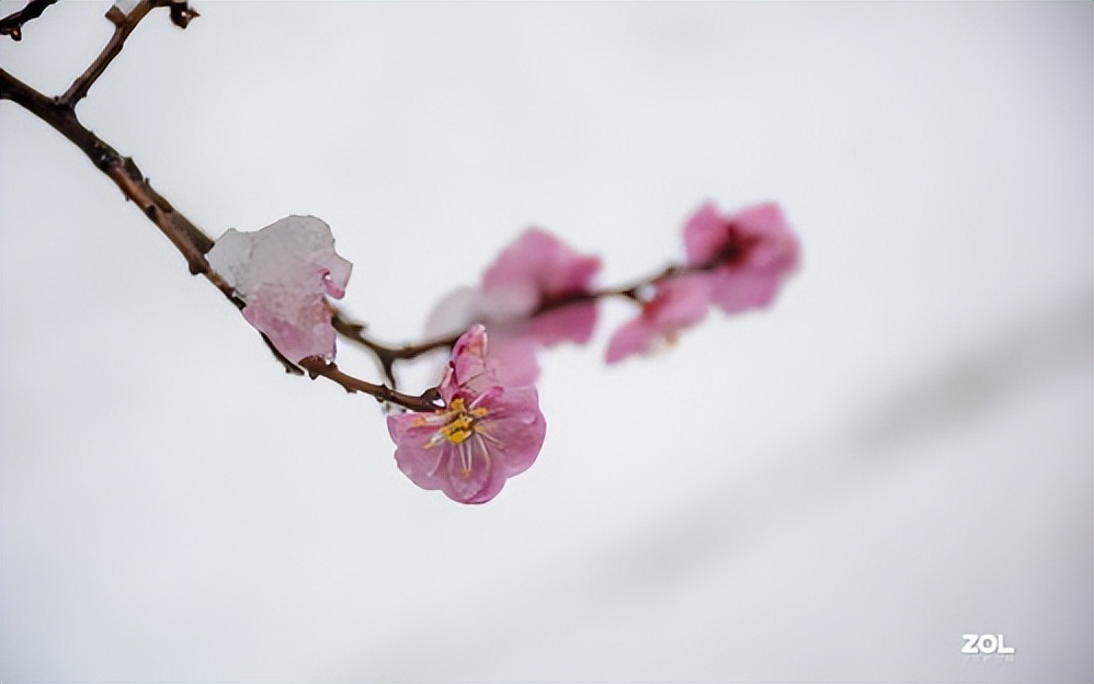 唐诗宋词韵律之美与人文情怀,唐诗宋词的鉴赏与分析