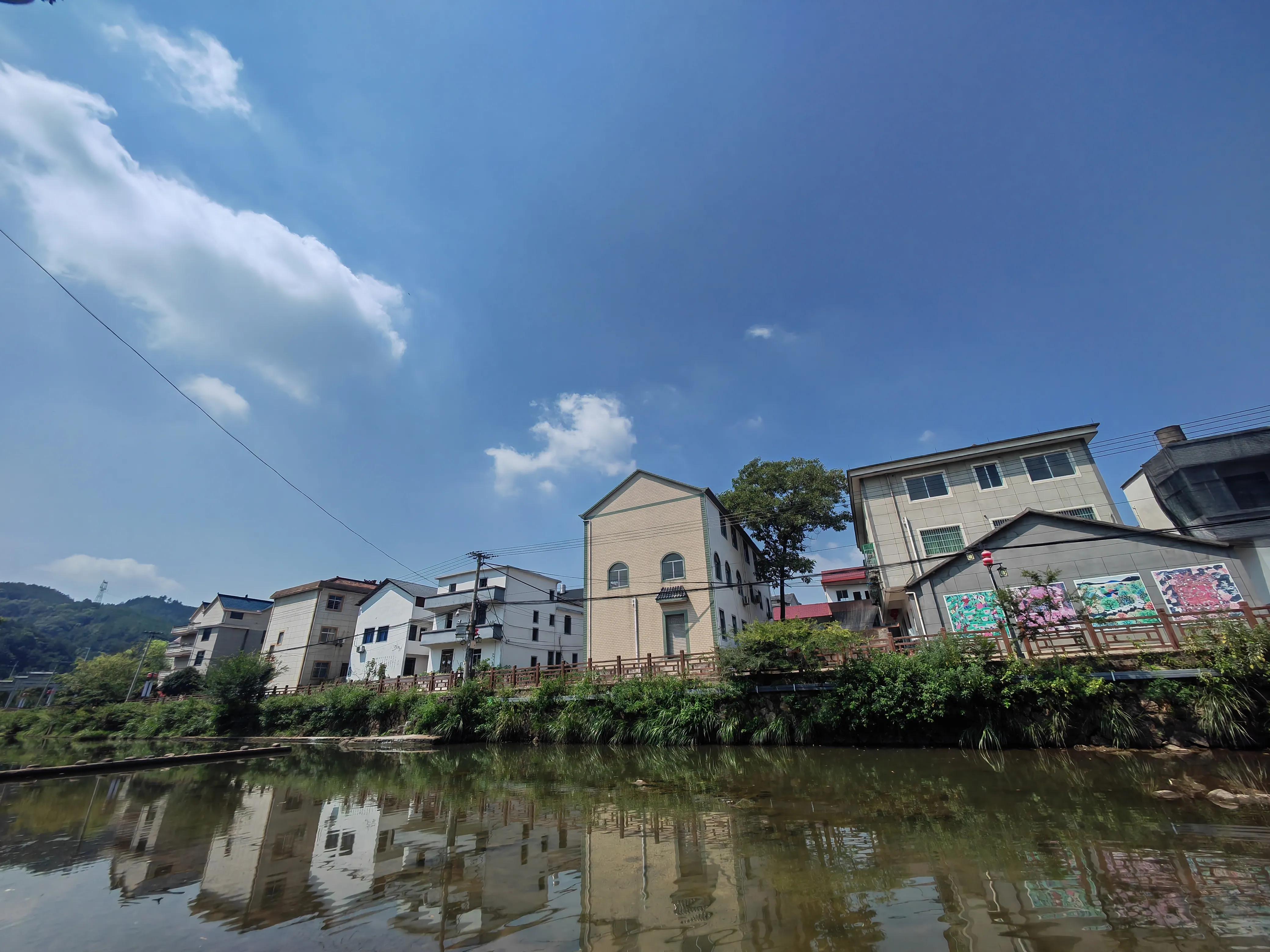 衢州画家余东村,余东村农民画