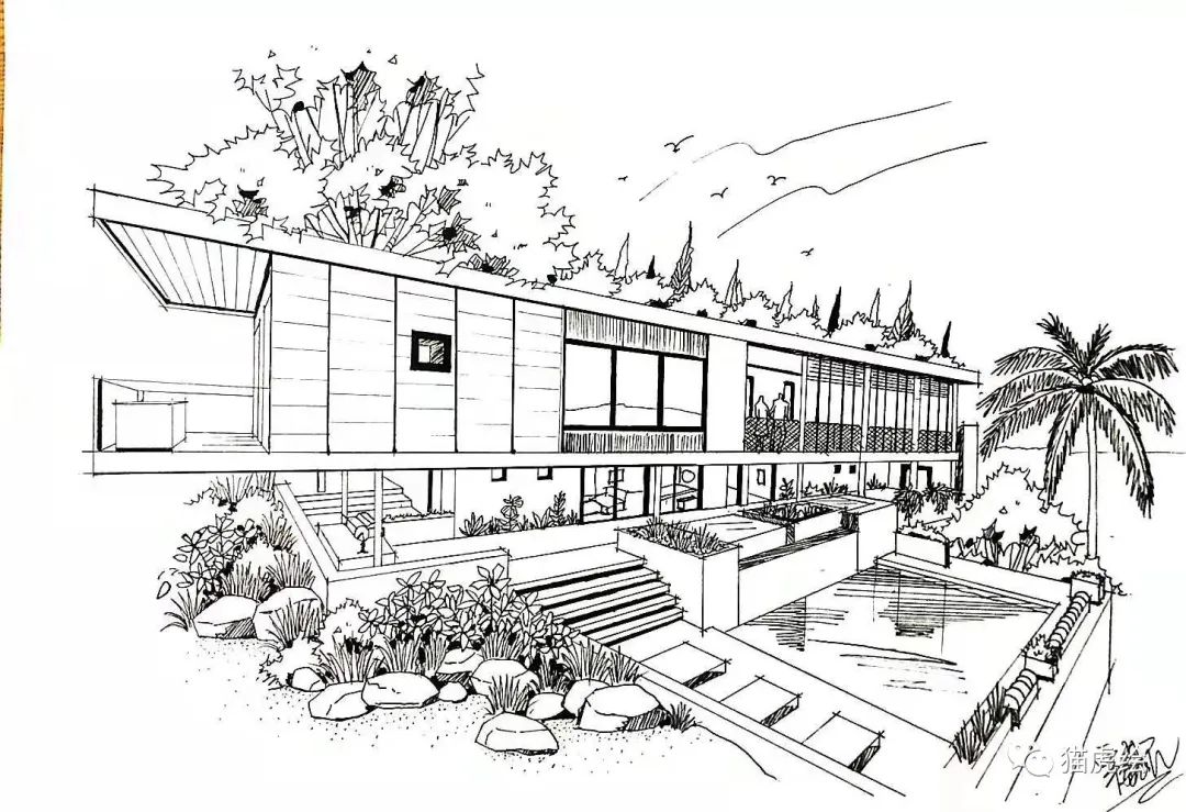 2022猫虎绘暑假手绘班招生简章「线上+线下」