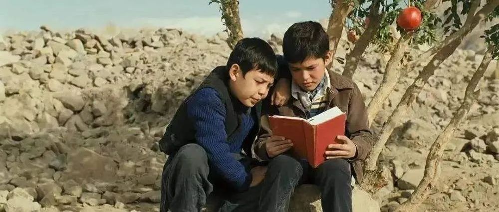 追风筝的人3分钟读一本书,追风筝的人有书快看