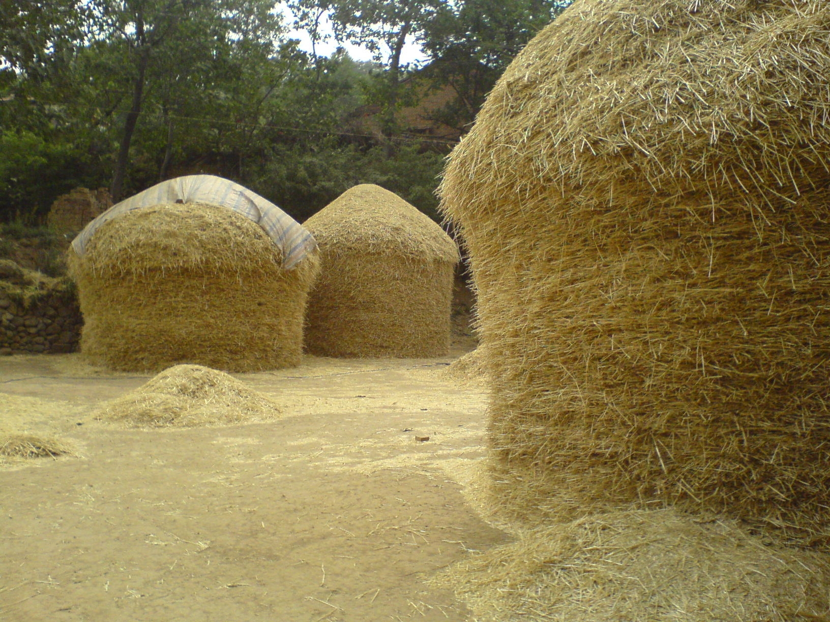 秸秆不让焚烧也不给解决方法,秸秆如何管理与注意事项